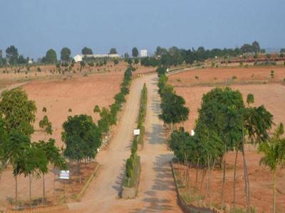 Residential Lands for Sale in Sai LR Rock Height