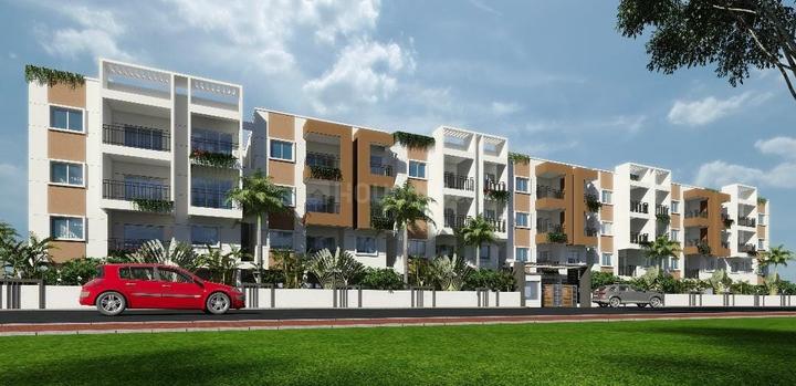 Keystone DSR Star Light Elevation 1