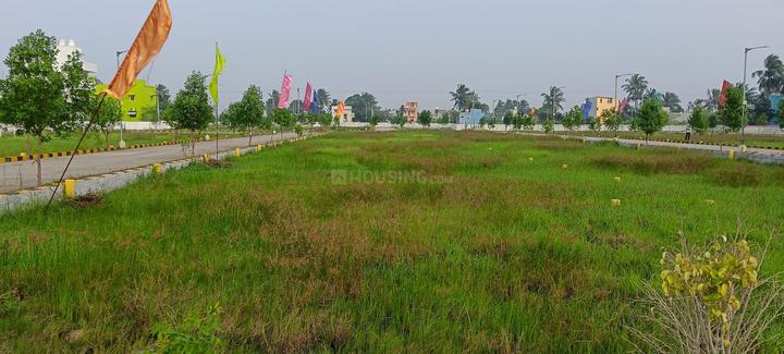 Gallery Cover Pic of Prime Greenera