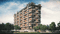 Gallery Cover Pic of Classique Willowbell