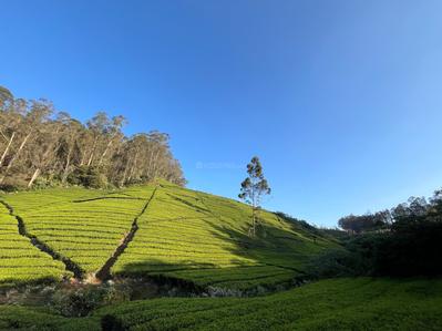 Residential Lands for Sale in Green Farm Estates