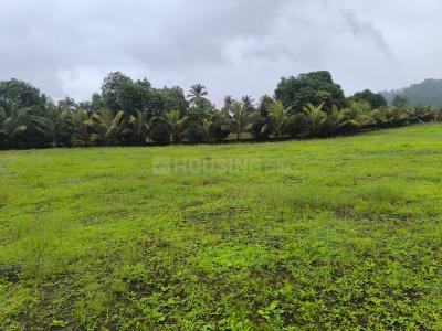 Residential Lands for Sale in Bhoomi Plots In Chavni