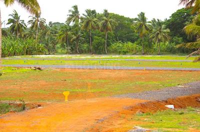 Gallery Cover Pic of Ritz Avenue