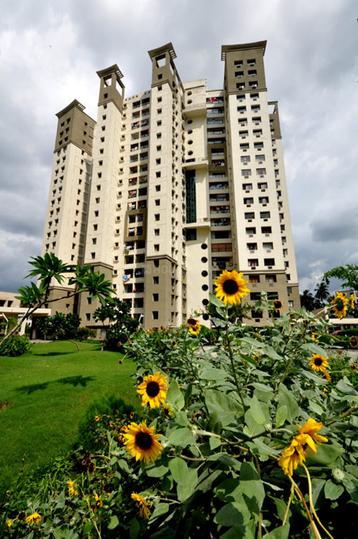 Gallery Cover Pic of Diamond City South