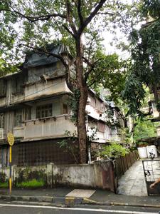 Swaraj Homes Kerawala Building Project Images