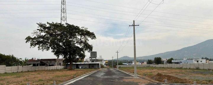 Gallery Cover Pic of Park Lane