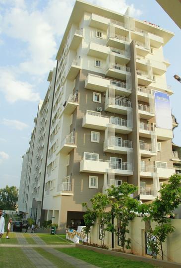 Gina Shalom Elevation 1