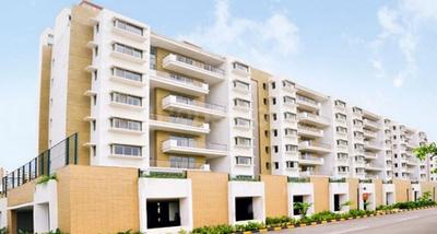 Gallery Cover Pic of Lodha Freshia