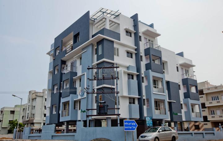 Gallery Cover Pic of Ample Avonlea