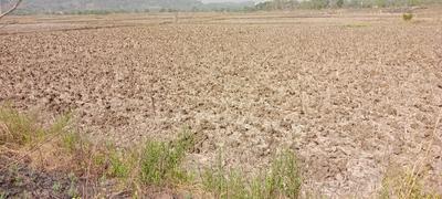 Residential Lands for Sale in Rama Pen