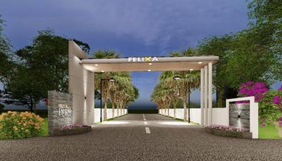 Felixa Regio