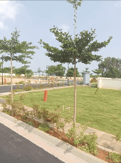 Gallery Cover Pic of KNS Aura