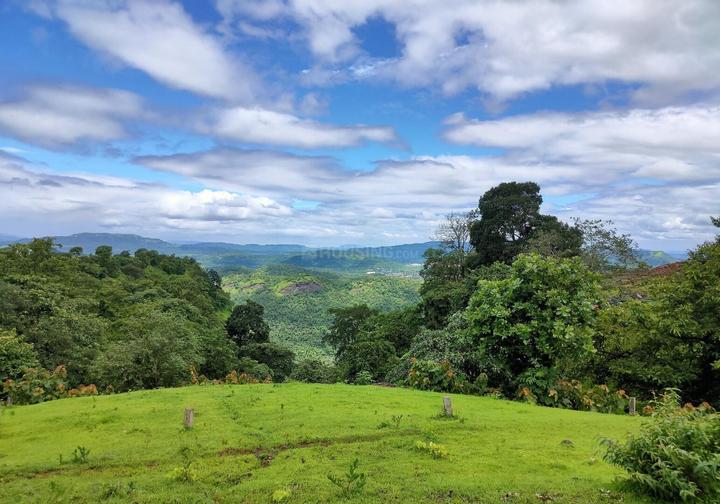 Gallery Cover Pic of Mahamum Plots In Pali