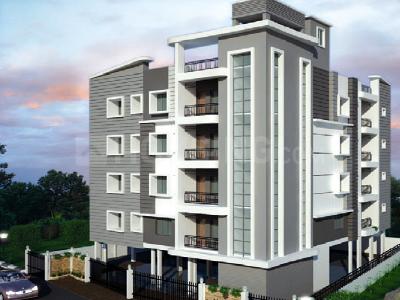Eternity Auris Project Images