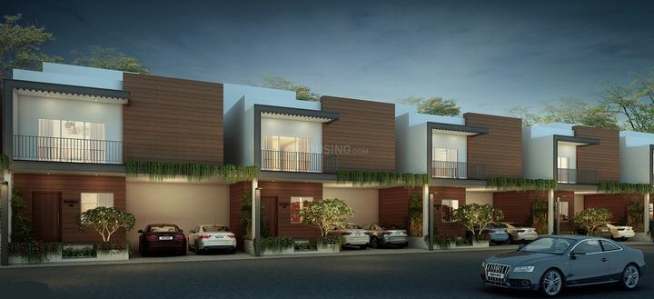 Gallery Cover Pic of Radiance Splendour