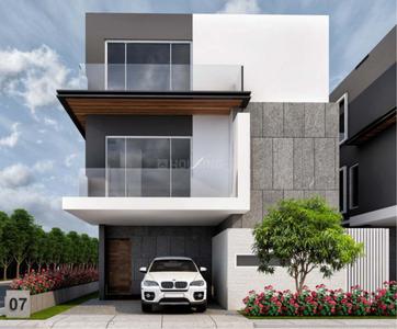 Kakatiya Mango Leaf Phase 1 Project Images