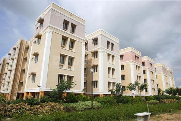 Gallery Cover Pic of Citilights Meadows