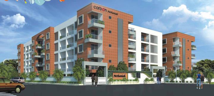 Gallery Cover Pic of Carbon Nethaniah