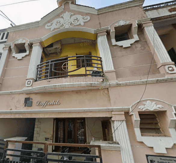 Gallery Cover Pic of The Rock Daffodils