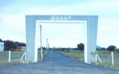 Gallery Cover Pic of Thiru Nagar