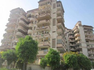 Gallery Cover Pic of CGHS Sheeba Apartment