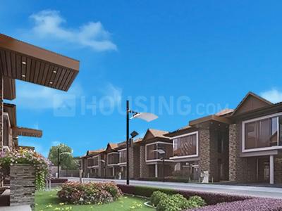 Gallery Cover Pic of 21 Exotica