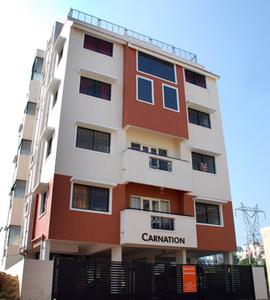 Habitat Carnation