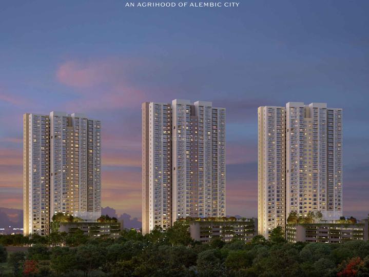 Gallery Cover Pic of Shreno Cloud Forest