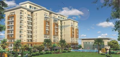 Gallery Cover Pic of DR Ram Prasad Estate