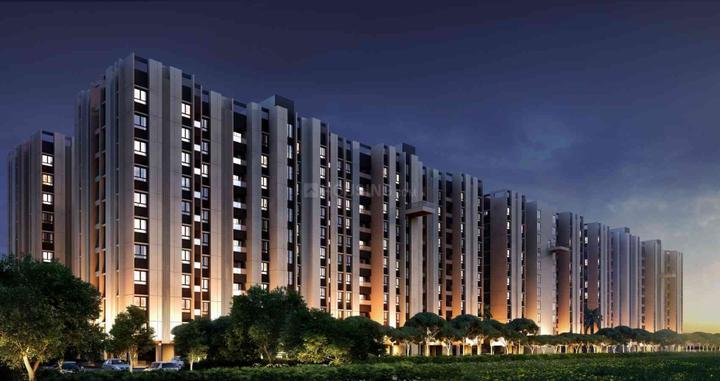 Embee Delight Elevation 1
