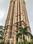 Gallery Cover Pic of Hiranandani Verona CHS