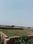Gallery Cover Pic of Virasat Royal Paradise Vatika