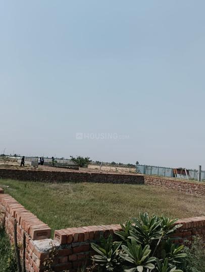 Gallery Cover Pic of Virasat Royal Paradise Vatika