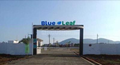 Gallery Cover Pic of Blue Leaf