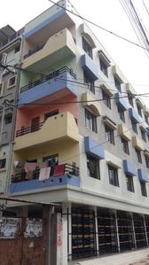 Nalanda Tulip Project Images