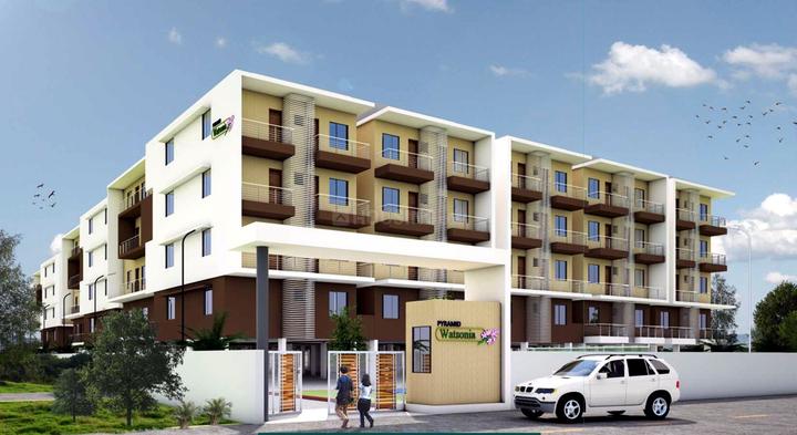 Gallery Cover Pic of Pyramid Watsonia