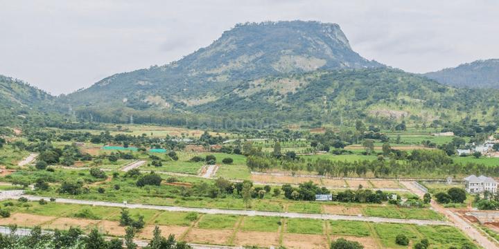 Gallery Cover Pic of Estate