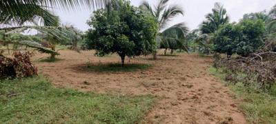 3 BHK Independent House