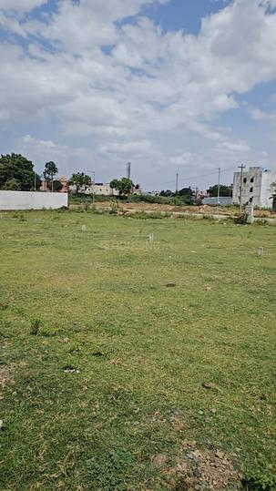 Gallery Cover Pic of The Manish Avenue