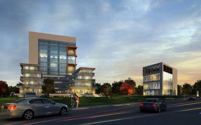 Gallery Cover Pic of Amour 81 Avenue