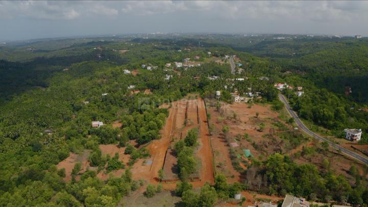 Gallery Cover Pic of Connect Elara