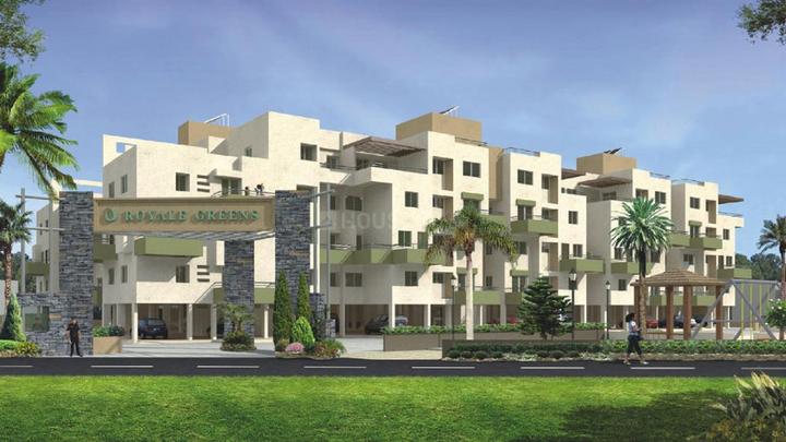 Shah Royal Greens More Images 1