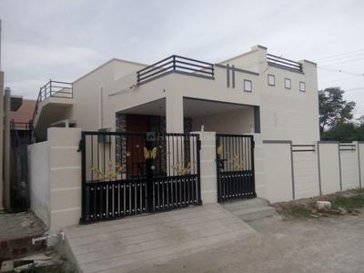 Guha Fantasy Elevation 1