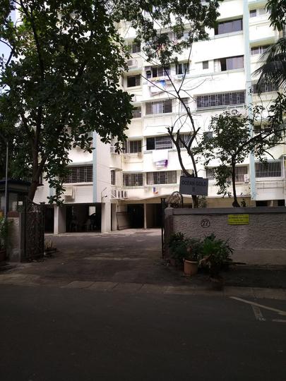 Ocean Gold More Images 1