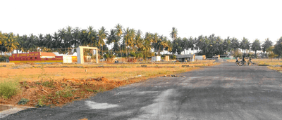 Kiwi Garden Project Images