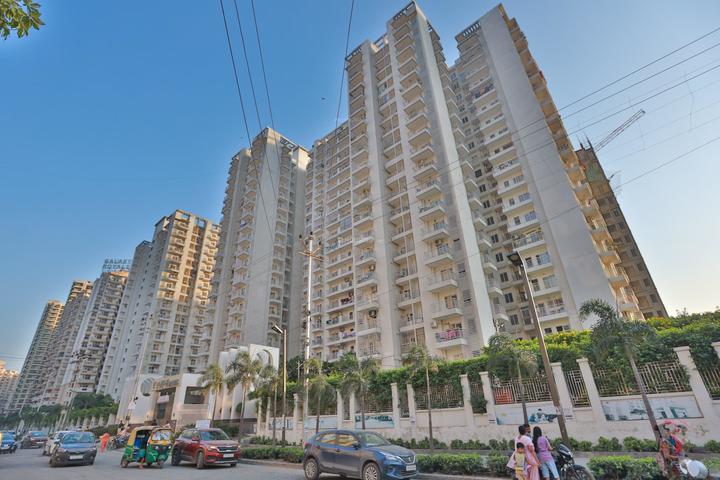 Gallery Cover Pic of VVIP Solitaire VVIP Homes