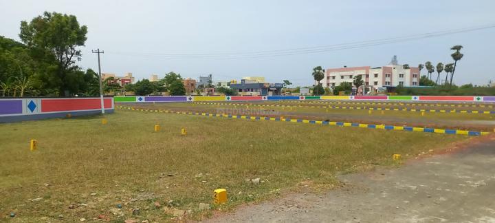 Gallery Cover Pic of Premier MM Garden