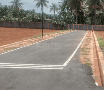 Palaniyappa Garden Project Images