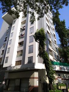 Gallery Cover Pic of Axis Magnolia