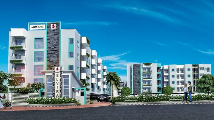 Gallery Cover Pic of CoEvolve Elvira